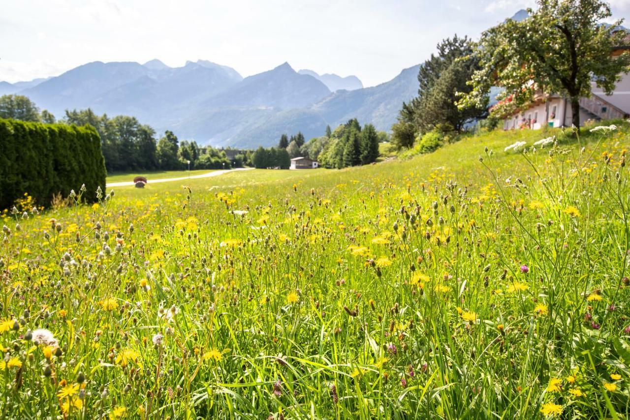 Pension St. Nikolaus Golling an der Salzach Kültér fotó